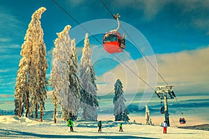 Winter ski resort with snow covered trees and active skiers