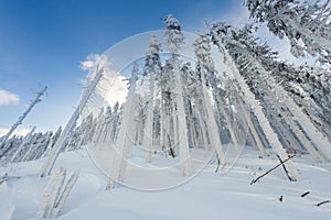 Winter skitour trekking Beskidy mountains photo