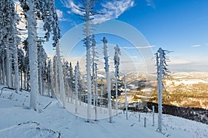 Winter skitour trekking Beskidy mountains photo