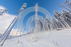 Winter skitour trekking Beskidy mountains photo