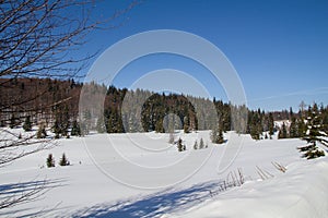 Winter - Slovak paradise National park,Slovakia