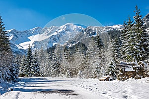 Zima na Slovensku Tatry. vrcholky a stromy pokryté sněhem