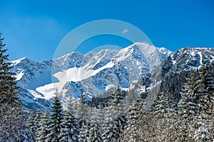 Zima na Slovensku Tatry. vrcholky a stromy pokryté sněhem