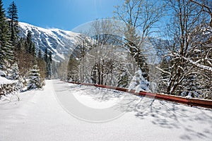 Zima na Slovensku Tatry. vrcholky a stromy pokryté sněhem