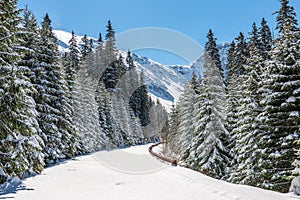 Zima na Slovensku v Tatrách. vrcholy a stromy pokryté snehom