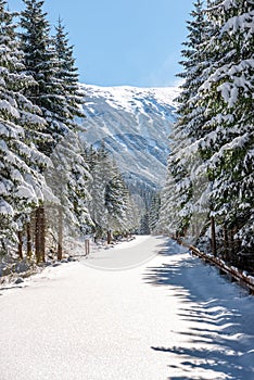 Winter in Slovakia Tatra mountains. peaks and trees covered in snow