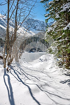 Winter in Slovakia Tatra mountains. peaks and trees covered in snow