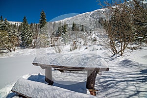 Winter in Slovakia Tatra mountains. peaks and trees covered in snow