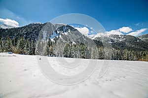 Zima na Slovensku Tatry. vrcholky a stromy pokryté sněhem