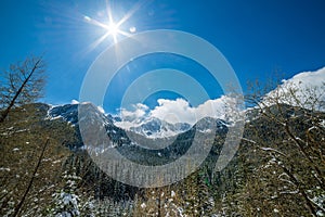 Zima na Slovensku Tatry. vrcholky a stromy pokryté sněhem