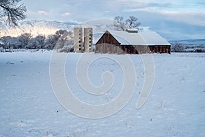 Winter snow on abandoned old fashioned dairy farm buildings