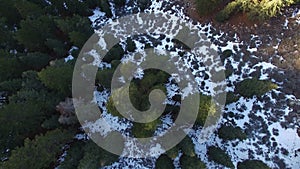 Winter Snow Aerial Shot of Pine Forest and Mountains California Bird`s Eye View Backward