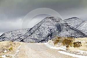 Winter Snow in Arizona's Dragoon Mountains