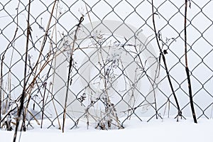 In the winter snow a black metal fence