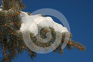 Winter snow and blue skies