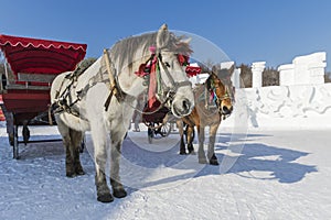 Winter Snow carriage