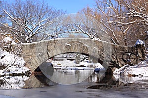 Winter Snow in Central Park