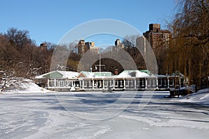 Winter Snow in Central Park