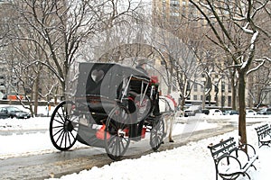 Winter Snow in Central Park