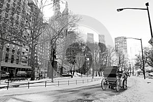 Winter Snow in Central Park, Manhattan photo