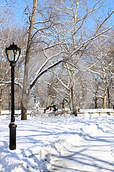 Winter Snow in Central Park, Manhattan photo