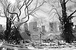 Winter Snow in Central Park, Manhattan