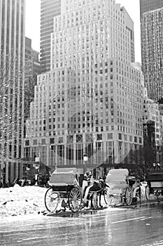 Winter Snow in Central Park, Manhattan