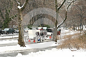 Winter Snow in Central Park, New York City