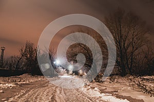winter snow cold light dark sky tree
