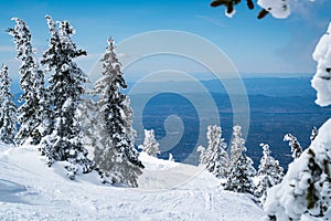 Winter Snow Covered Forest landscape of the Colorado Rocky Mountains