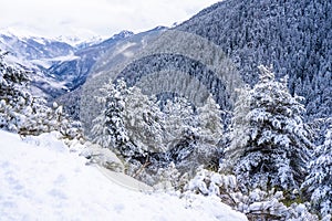 Winter snow-covered forest in the mountains. Mountain peaks covered with snow in winter. Picturesque and gorgeous winter