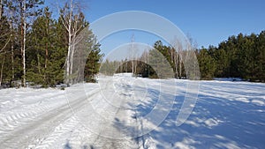 Winter snow-covered forest in sunny weather