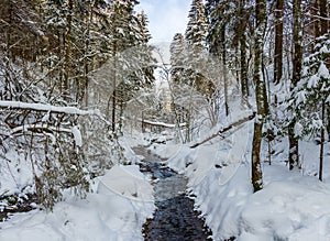 Winter, snow-covered forest and unfrozen stream