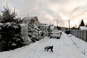 Winter snow-covered rural russian street - Winter Dacha