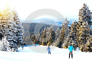 Winter, snow, forest, landscape, cold, tree, mountain, nature, ski, trees, skiing, sky, frost, snowy, white, season, christmas, sp