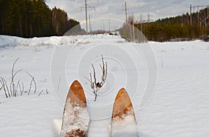 Winter, snow, forest, tree, gold, nature, trees, white, landscape, pine, frost, season, ice, Christmas, Birch, sky, forest, frozen