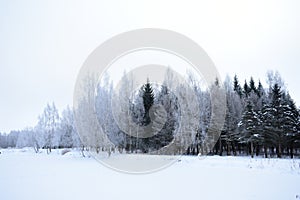 Winter snow frosty foggy forest Park on the slopes of the river. Frozen pond pond field. Cloudy