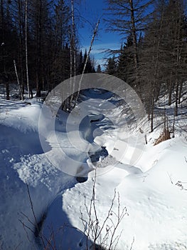 Winter snow frozen river forest beauty