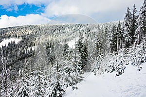 Winter with snow in the Giant Mountains, Czech Republic