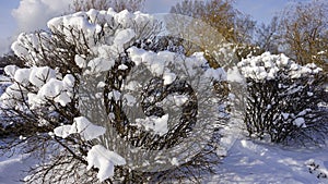 Winter snow in Gorky park