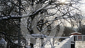 Winter snow in Gorky park