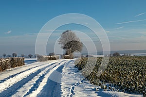 Winter and snow in Gulpen, a village in the bocage landscape of South Limburg, the Netherlands