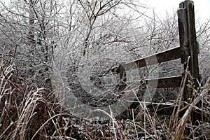 Winter snow ice wooden fence frame trees grass background