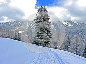 Winter snow idyll along the rural alpine road above the tourist resort of Lenzerheide