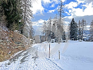 Winter snow idyll along the rural alpine road above the tourist resort of Lenzerheide