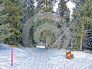 Winter snow idyll along the rural alpine road above the tourist resort of Lenzerheide