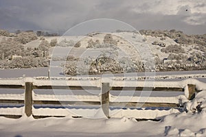 Winter Snow landscape, Cardiff, UK