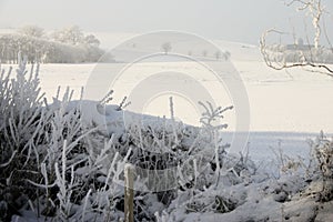 winter snow landscape haze photo