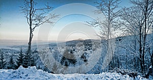 Winter snow landscape