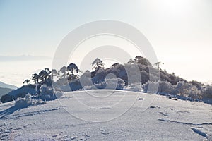 Winter and snow in the mountains